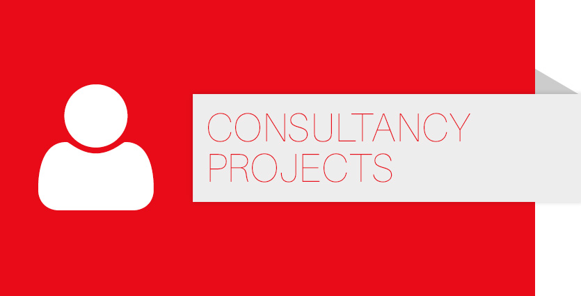 Consultancy Projects